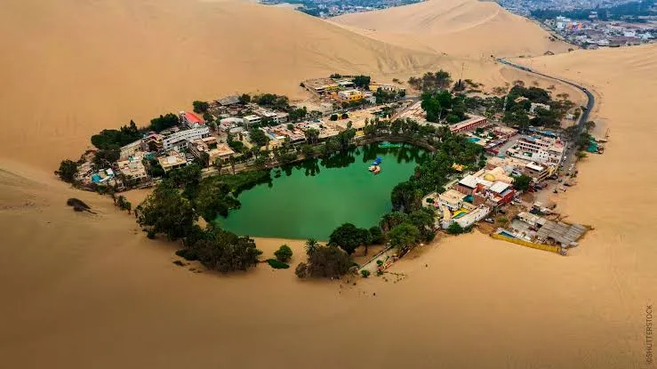 Dune Buggy Thrills, Sandboarding, and Oasis Views - 3